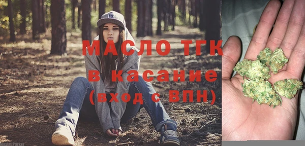 индика Чегем