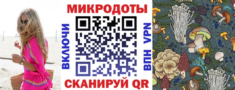 где продают наркотики  OMG tor  Галлюциногенные грибы прущие грибы  Гвардейск 